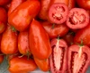 Amalfi F1 Tomato