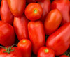 Amalfi F1 Tomato