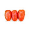 Zenzei F1 Tomato