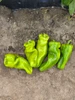Exuma X10R® F1 Pepper