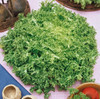 Frisee (Endive)