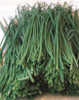 Chives