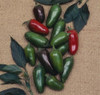 Jalapeño Sweet 