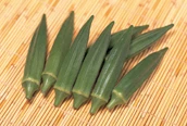 Okra Growing Guide 