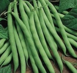 Beans - Pole