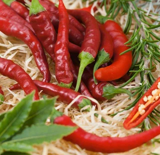Sweet Peppers - Italian - Open Pollinated