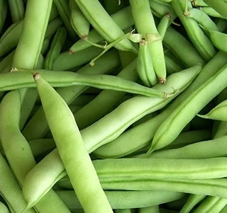 Beans - Runner Type