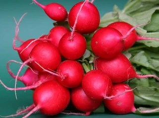 Radish