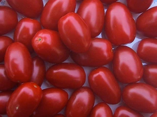 Tomato - Grape - Determinate
