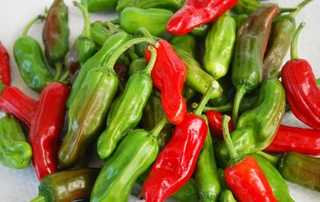 Hot Peppers - Pepperoncini