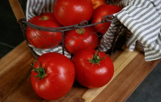 Tomato-Fresh Market-High Tunnel/Greenhouse