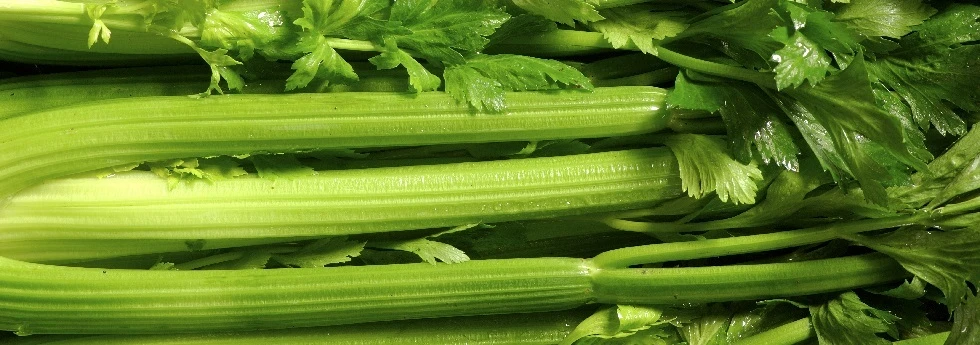 Celery