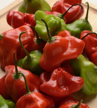 Hot Peppers - Crown / Baccatum