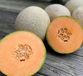 Melon