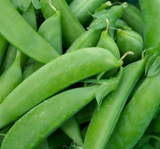 Peas - Edible Pod