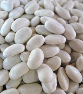 Beans - Shell and Miscellaneous