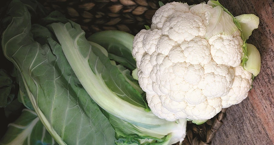 Cauliflower Growing Guide