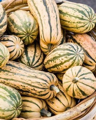Winter Squash - Delicata
