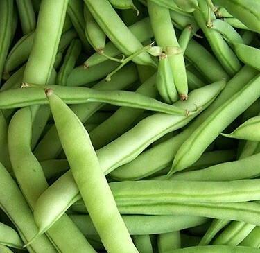 What Are Half-Runner Beans?