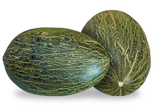 Melon - Piel de Sapo