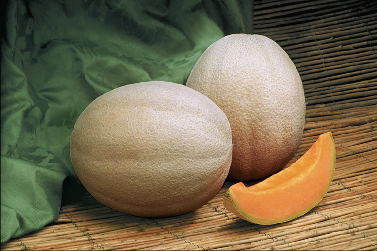 Melon