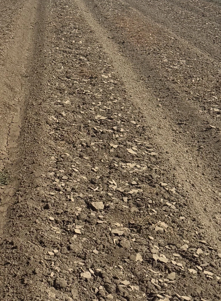 Tillage & No-Till