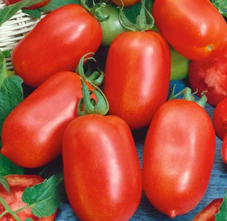Tomato - Roma - Determinate - Red
