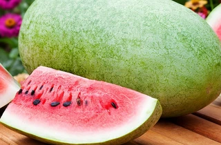 Watermelon - Diploid (Seeded) - Open Pollinated