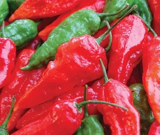 Hot Peppers
