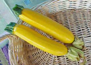 Summer Squash - Yellow Zucchini - Hybrid