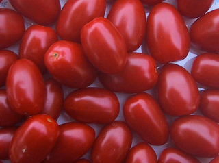 Tomato - Grape - Determinate