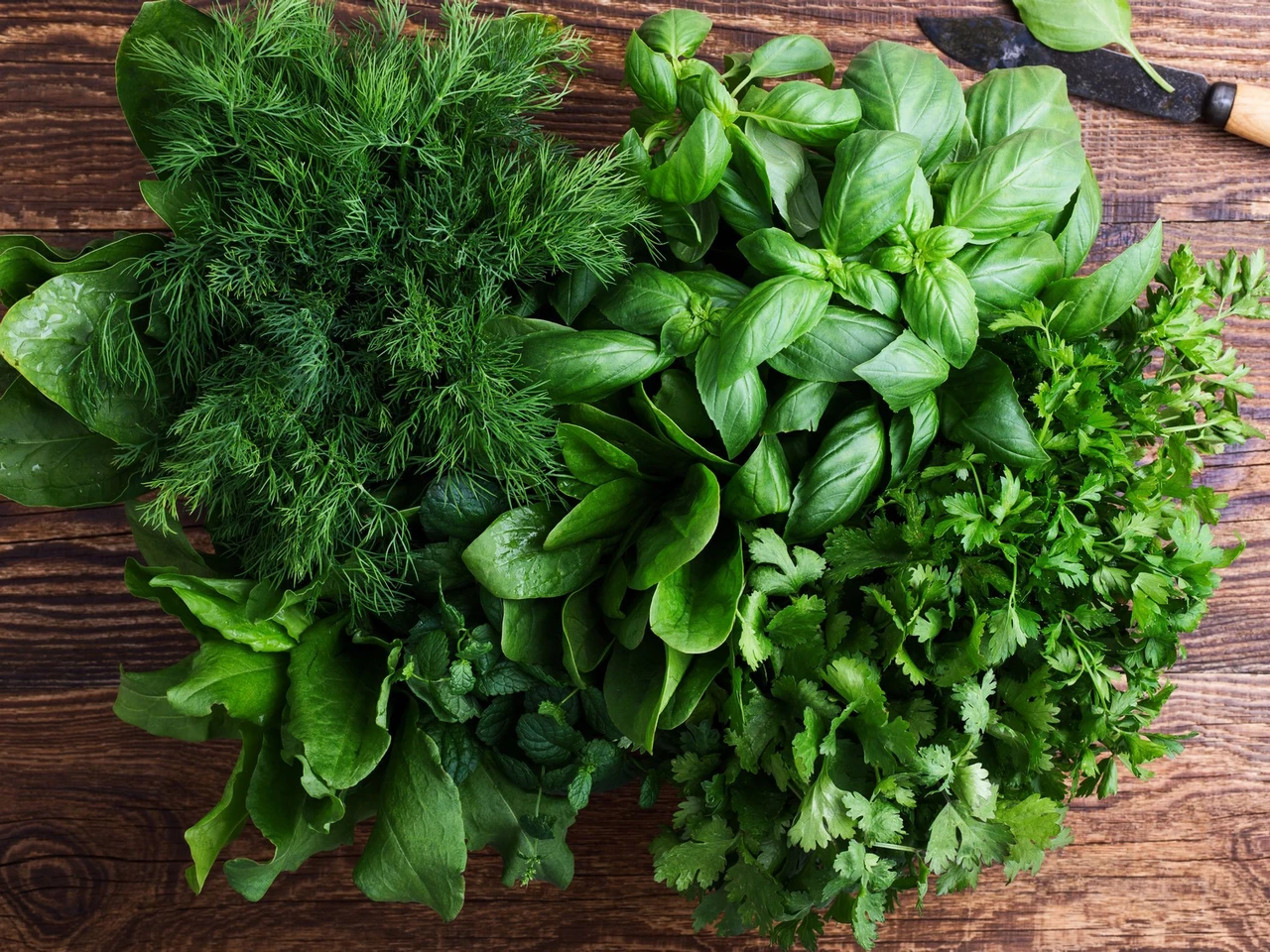 Herb Growing Guide 