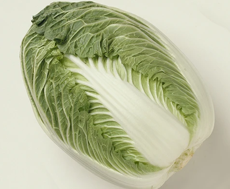 Chinese Cabbage