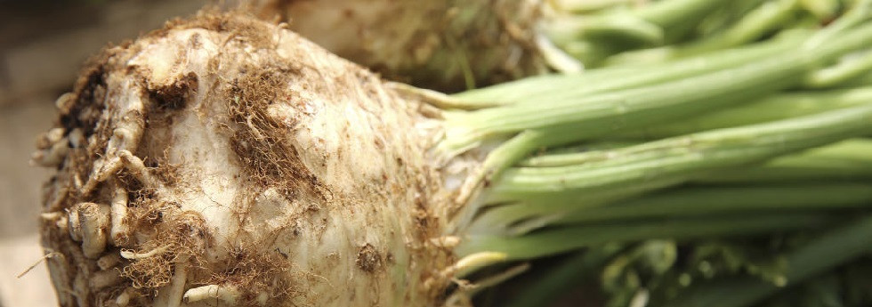 Celeriac