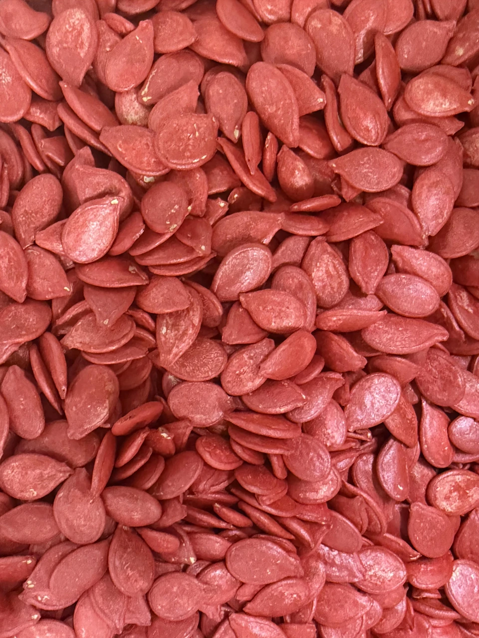 What Is a Seed Treatment?