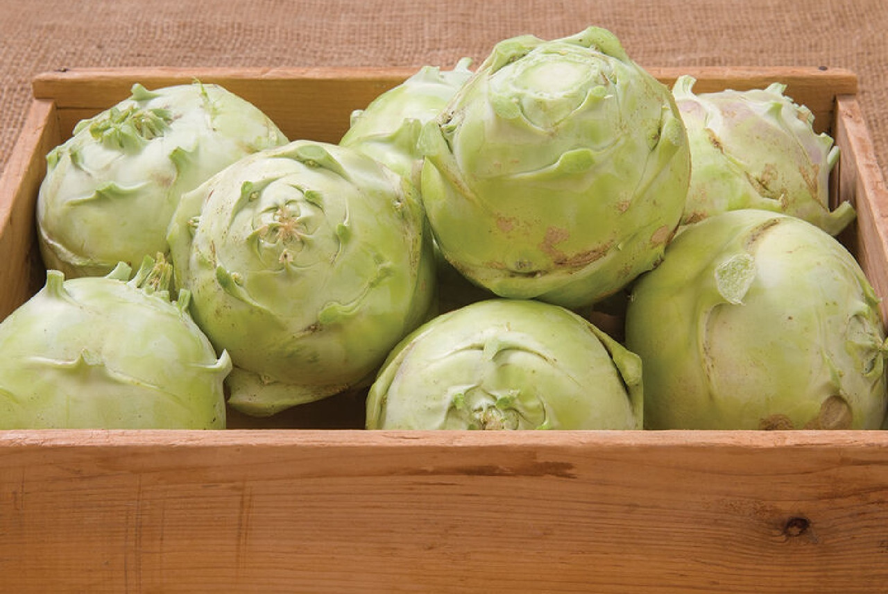 Kohlrabi