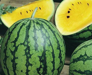 Watermelon - Diploid (Seeded) - Hybrid - Yellow