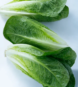 Lettuce - Romaine