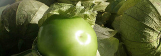 Tomatillo
