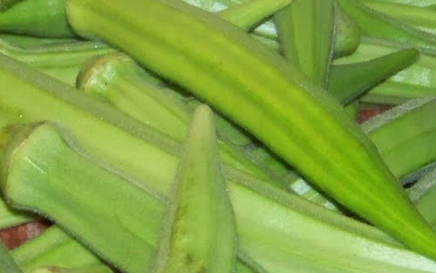 Jade Okra Holmes Seed Company