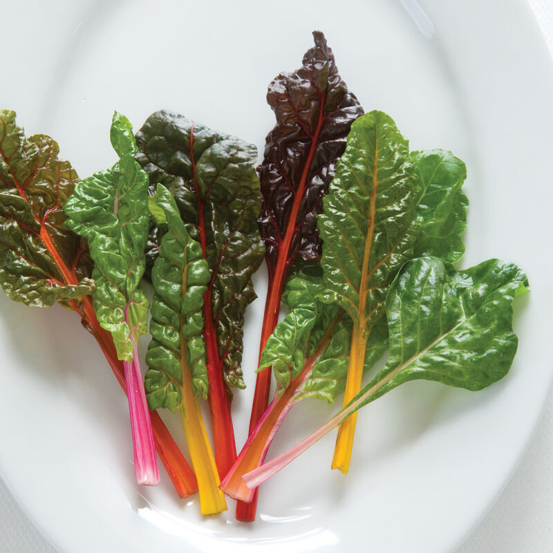 Bright Lights Swiss Chard | Holmes Seed Company
