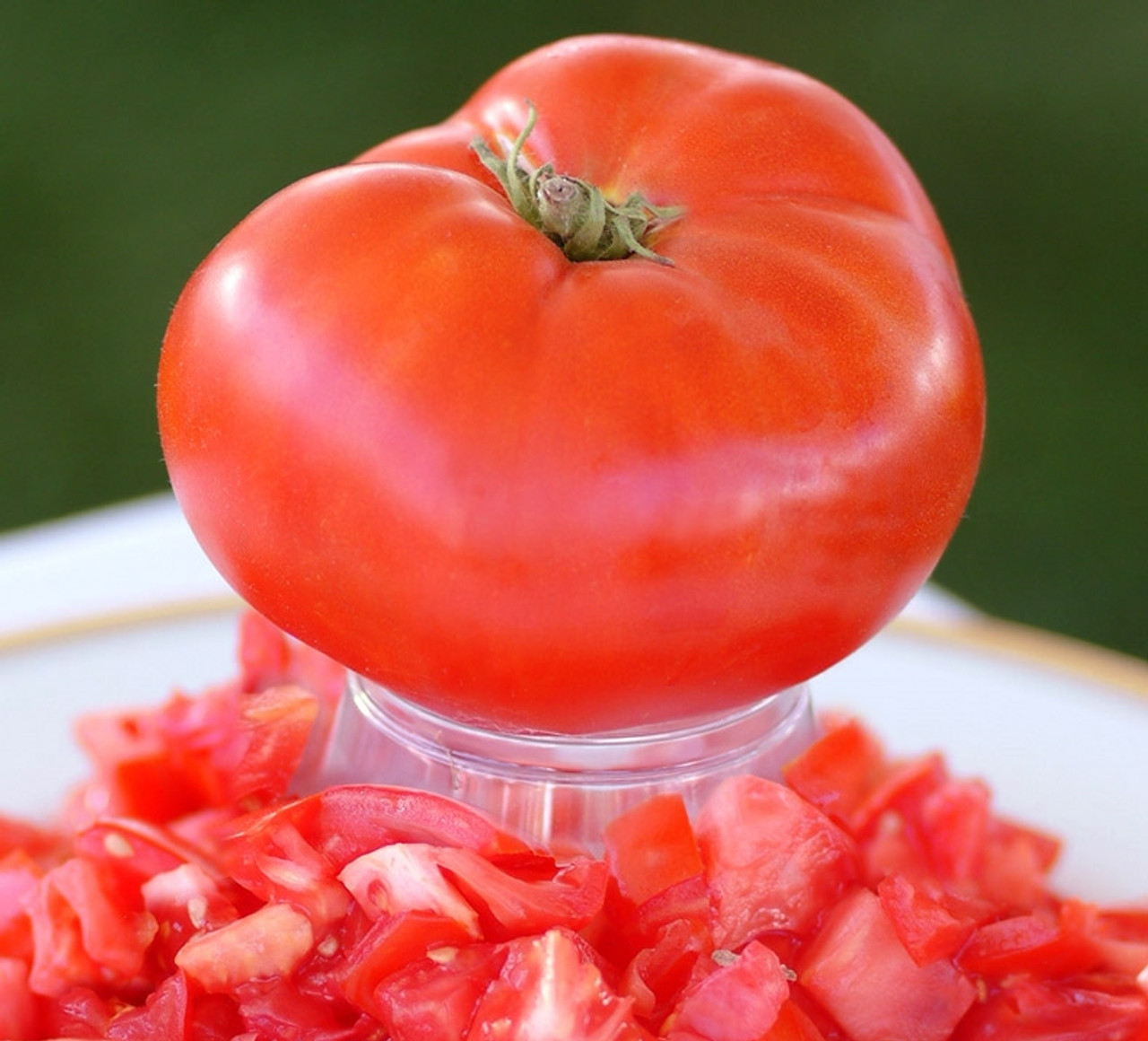 Giant Beefsteak Tomato