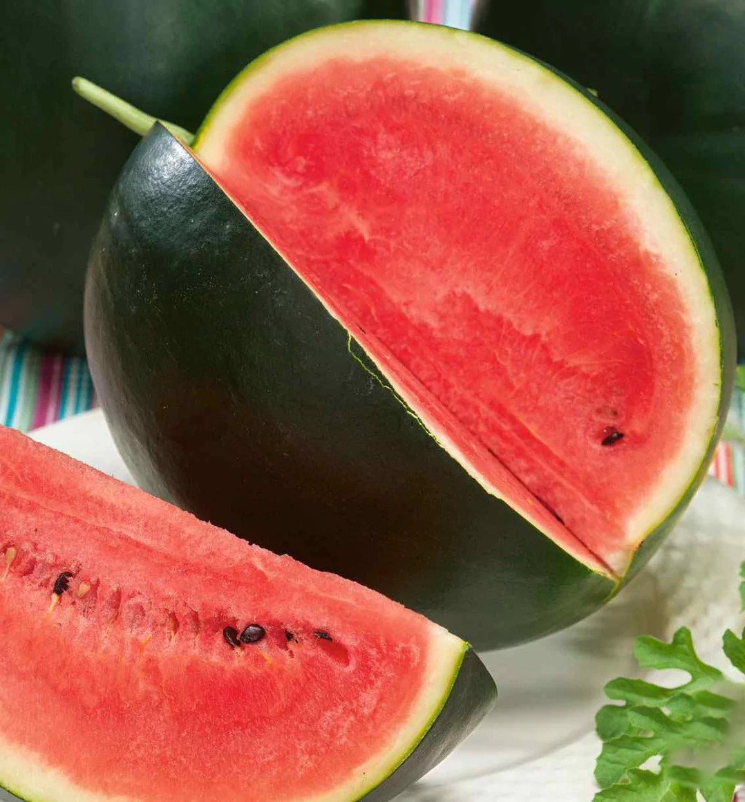 Sugar Baby Watermelon Holmes Seed Company Sugar Baby Watermelon Holmes Seed Company