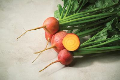 Holmes Seed Company Touchstone Gold Beets - Thumbnail 4