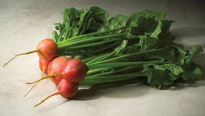 Holmes Seed Company Touchstone Gold Beets - Thumbnail 3