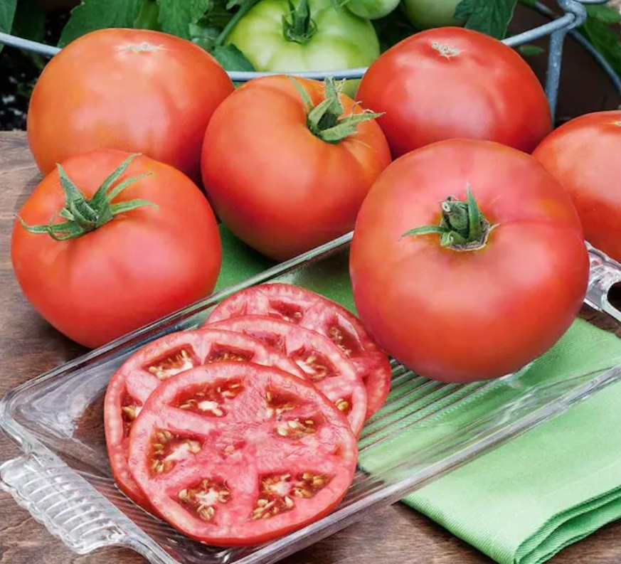 Heatmaster Tomato Seeds
