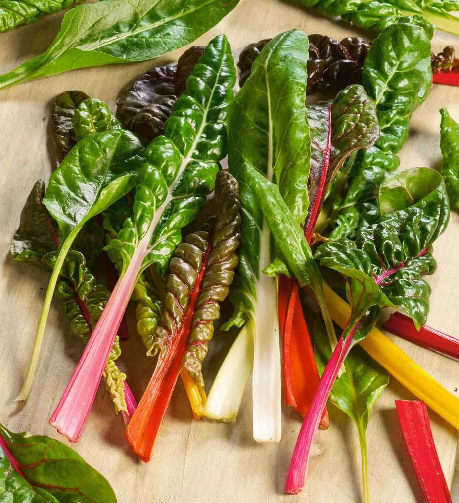 Color Chard Rainbow Swiss Chard | Holmes Seed Company
