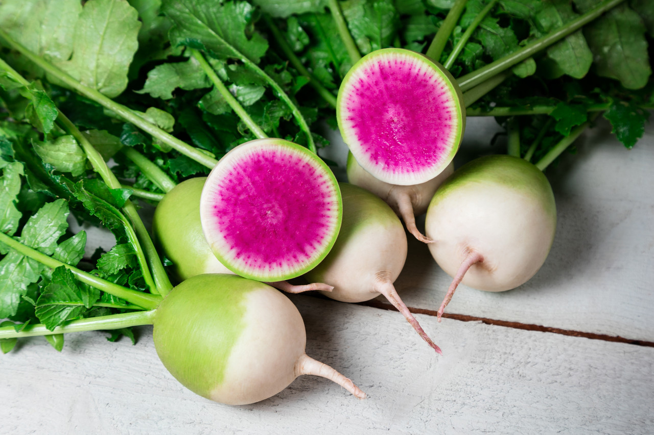 Stargazer Radish | Holmes Seed Company