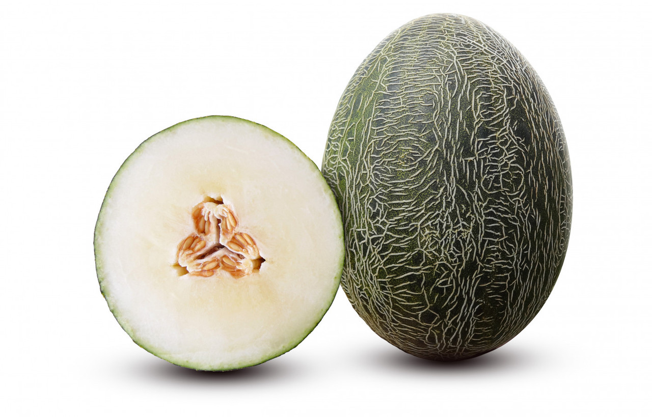 Melonen Samen (Bio) - Melonen Saatgut - Hof Jeebel