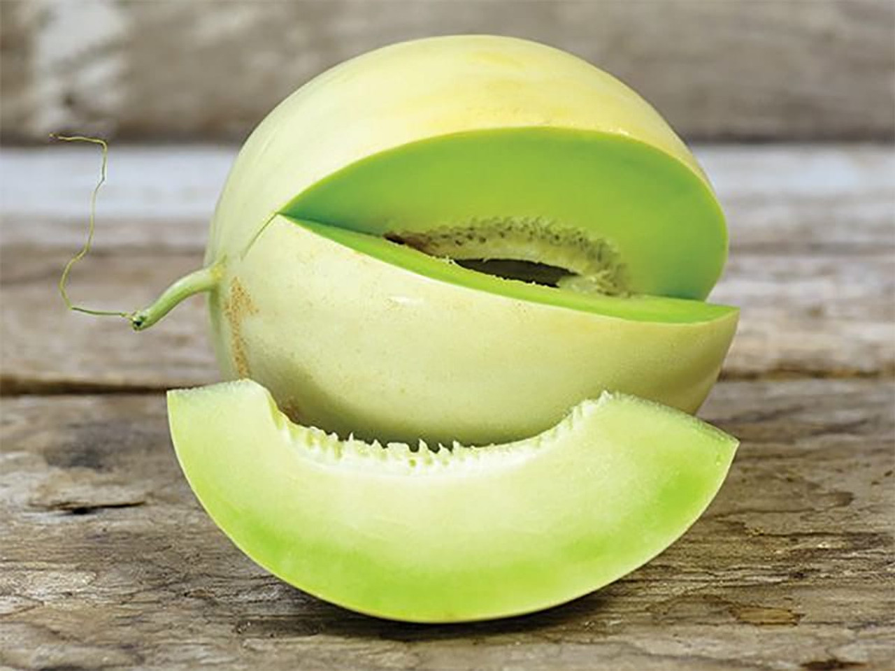 Honeydew Green Flesh Melon (Cucumis melo)